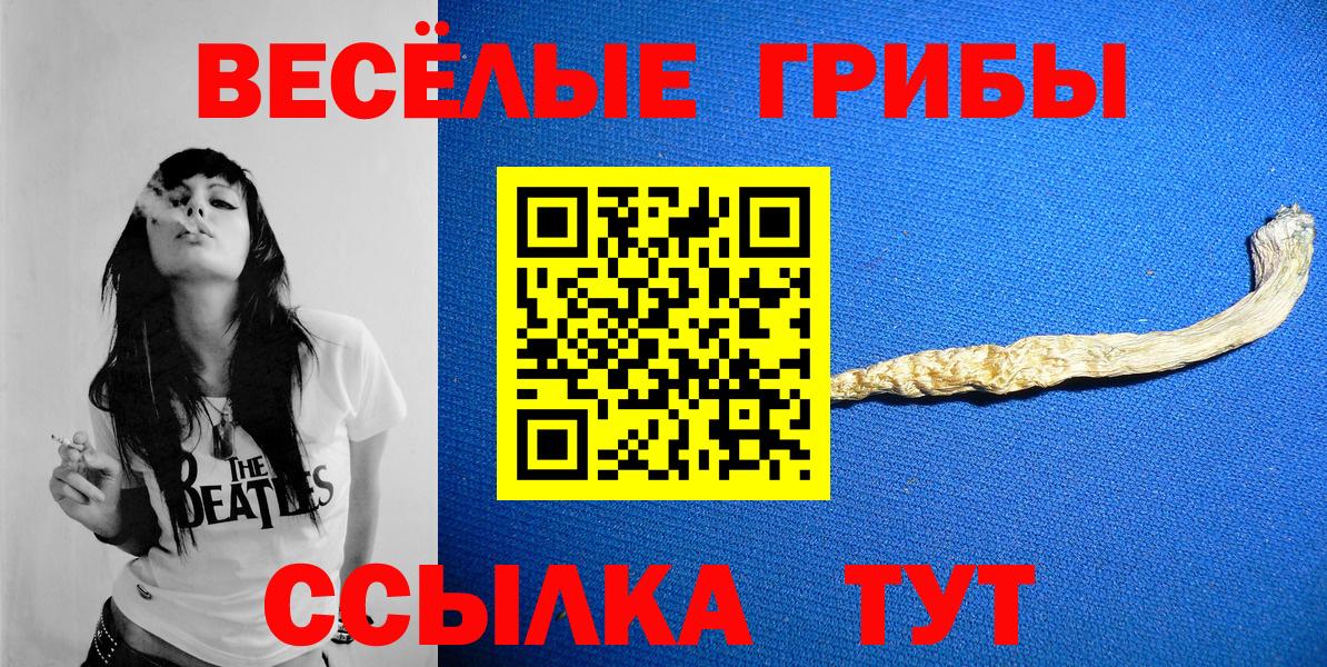 Галлюциногенные грибы Psilocybe Ижевск